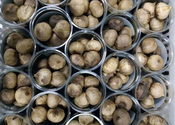 L'assolo ha fermentato l'aglio nero