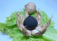 Il grado dell'alimento salutare ha fermentato l'aglio nero per ipertensione