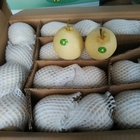Pera bianca cinese gialla Juice Pome Fruit di HACCP