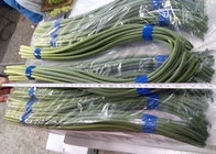 Verde cinese dei germogli dell'aglio di HACCP 45cm
