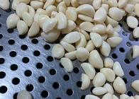 il raccolto 500g ha tagliato i chiodi di garofano a pezzi di aglio sbucciati freschi