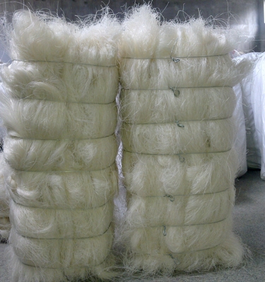 tagliatelle di vermicelli di 60kg Longkou