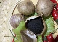 100 organici aglio nero fermentato naturale Allicin