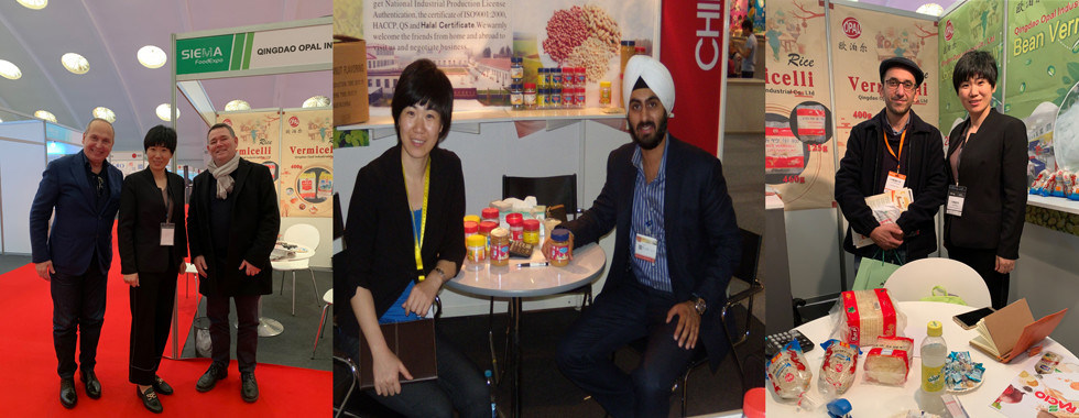 Bean Vermicelli verde