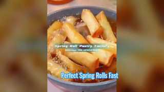 Fabbrica cinese di involucri per involtini primavera congelati | Standard UE, takeaway nel Regno Unito e vetrina adattata per fast food