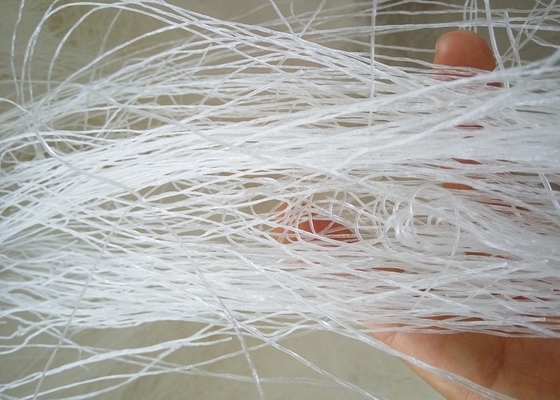OEM Longkou Vermicelli Noodles per imballaggi e marchi personalizzati