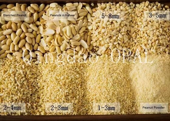 Noccioli di arachidi sgusciati e sbiancati premium, conformi HALAL e UE, arachidi grezze senza pelle per l'importazione