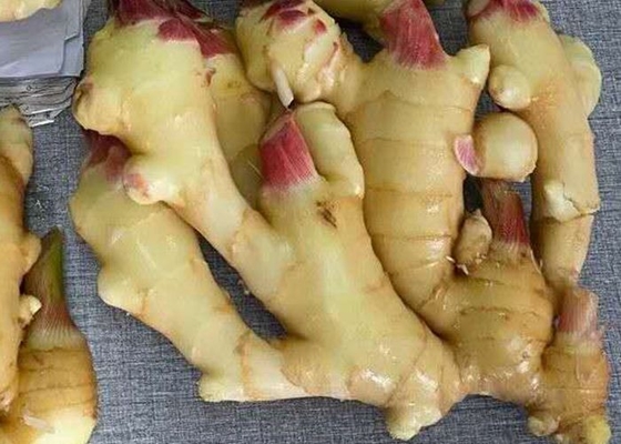300g ha asciugato all'aria lo zenzero giallo