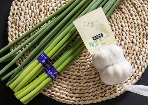 Aglio fresco Bolt di HACCP