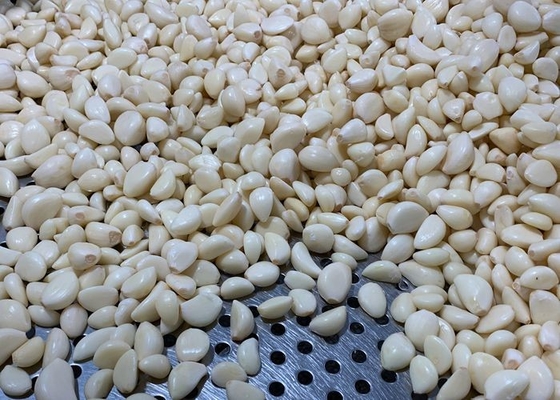 Chiodi di garofano di aglio sbucciati vuoto
