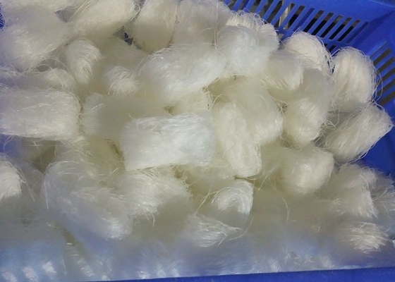 Cottura del Mung Bean Glass Noodles