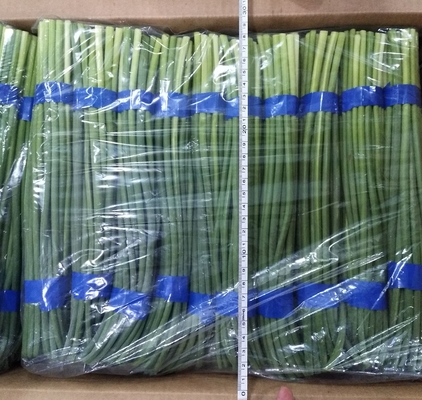 Aglio fresco Bolt di HACCP
