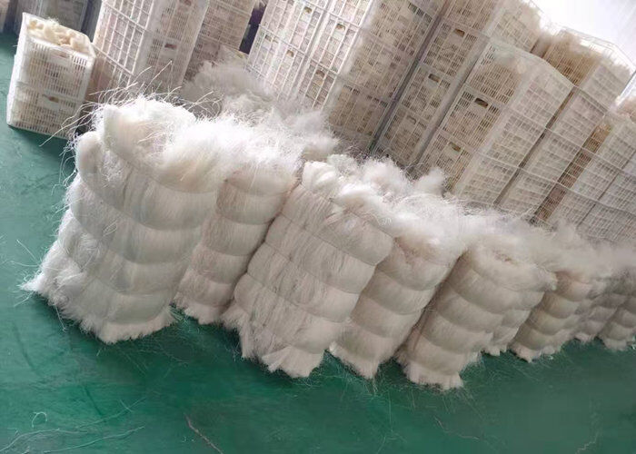 Vermicelli di fagioli verdi industriali. Produttore e esportatore cinese.