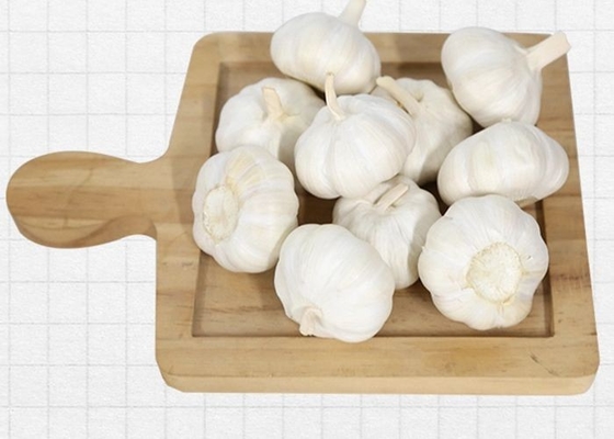 10kg inscatolano l'aglio bianco cinese di 6.5cm