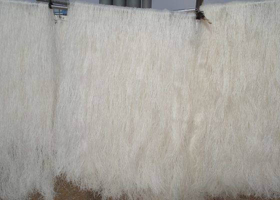 60kg che imballano lungamente conoscono il glutine organico di Bean Vermicelli libero